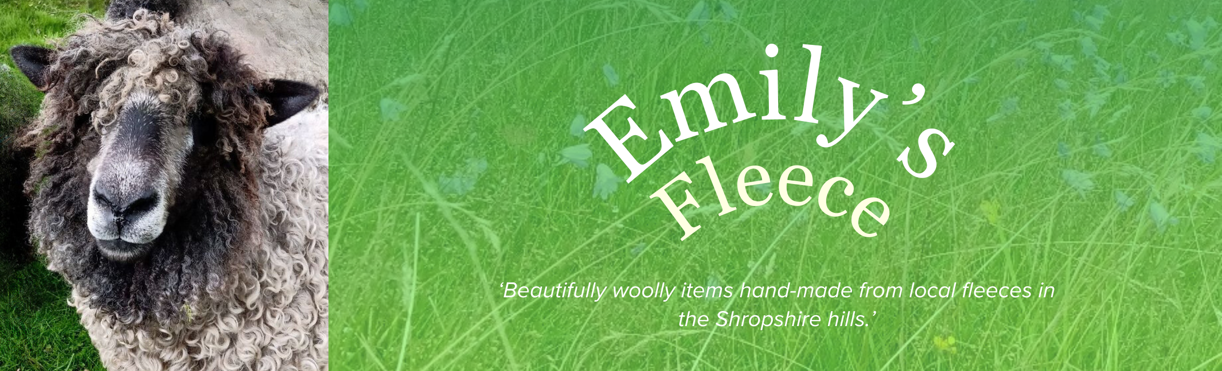 Emily's Fleece